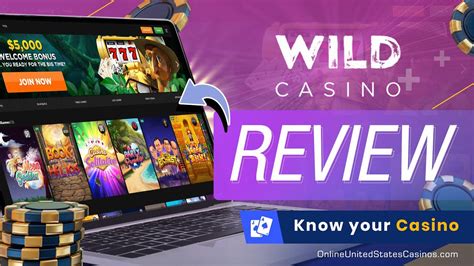  wild casino online review